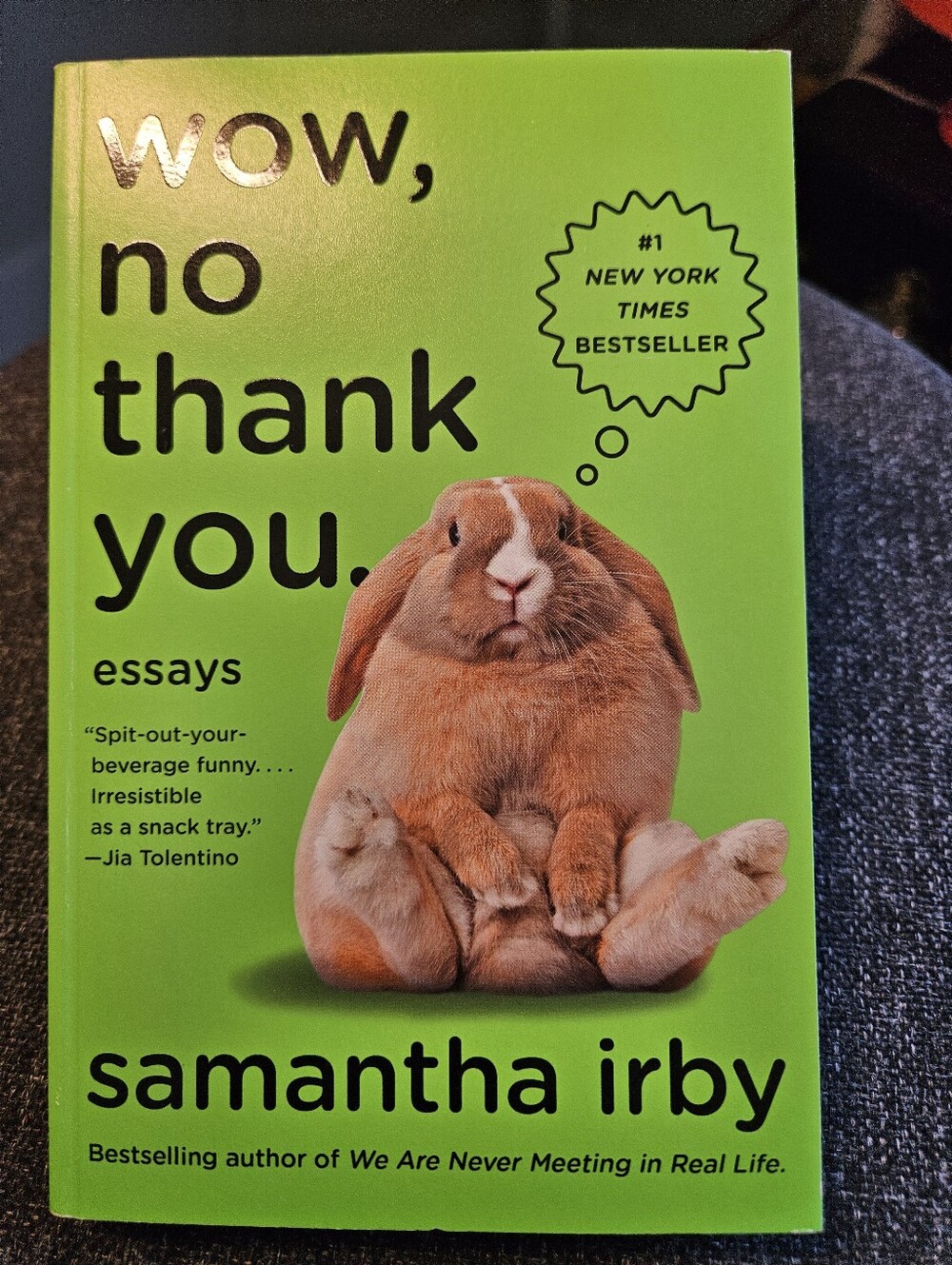 Wow, No Thank You Book By Samantha Irby
